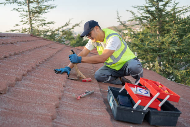 Best Roof Gutter Cleaning  in Ishpeng, MI