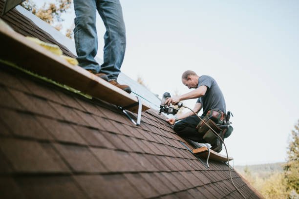 Best Flat Roof Repair Services  in Ishpeng, MI